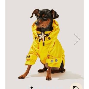 Maxbone Talon Yellow Dog Raincoat